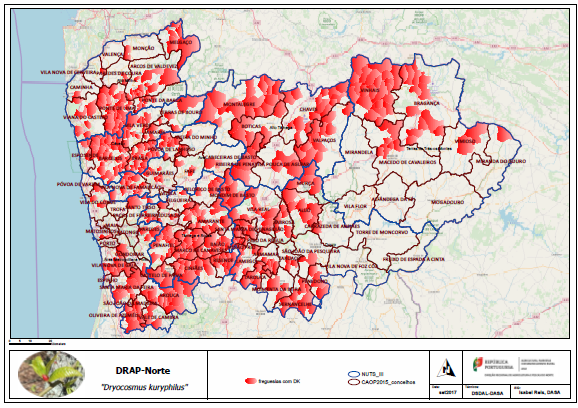 Expansão da praga, outubro 2017