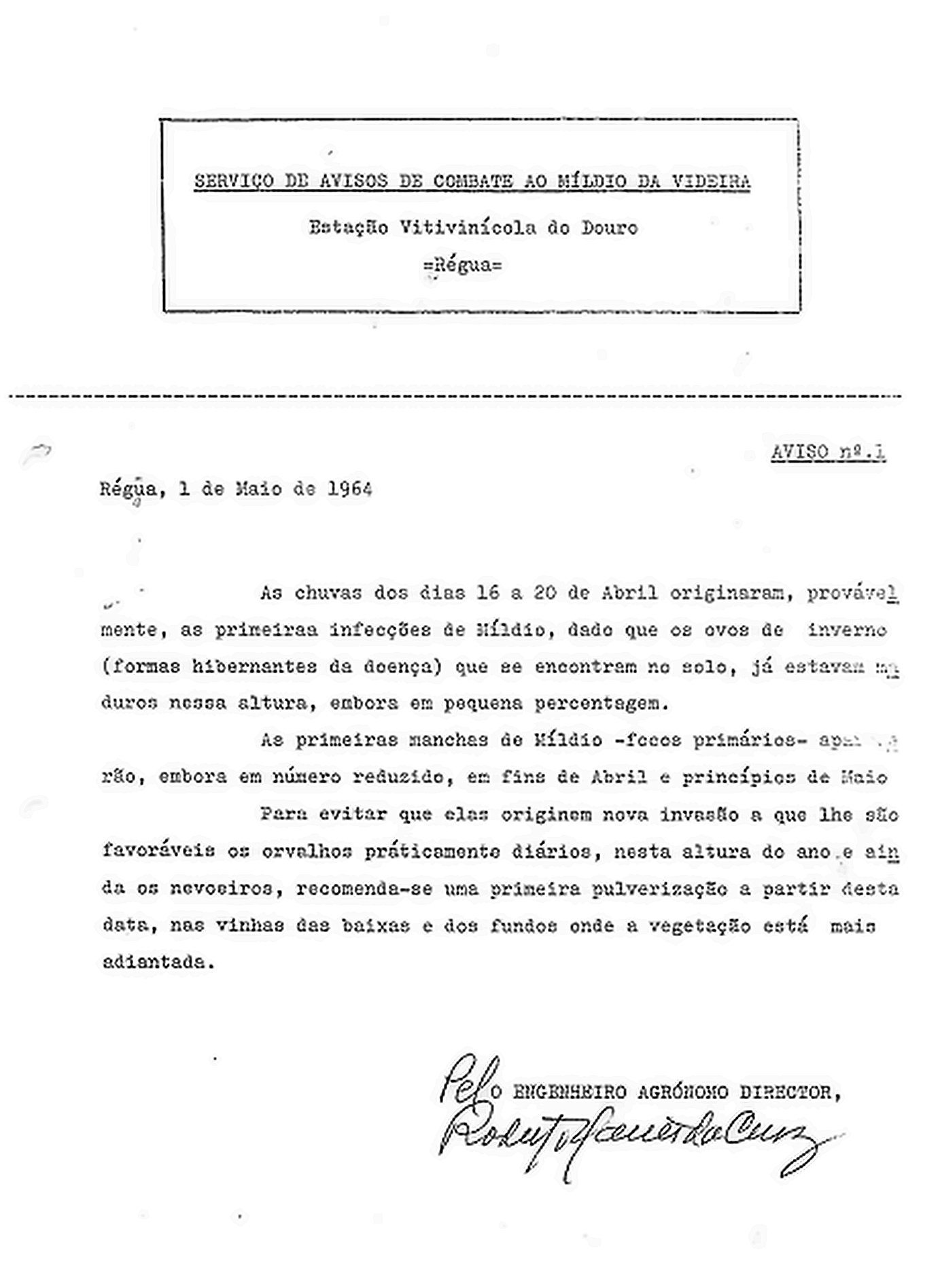 Primeira circular de avisos da Régua, 1964