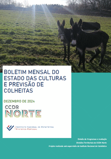 Dezembro de 2024
