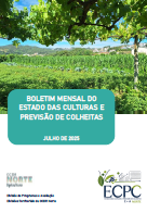 Julho de 2025