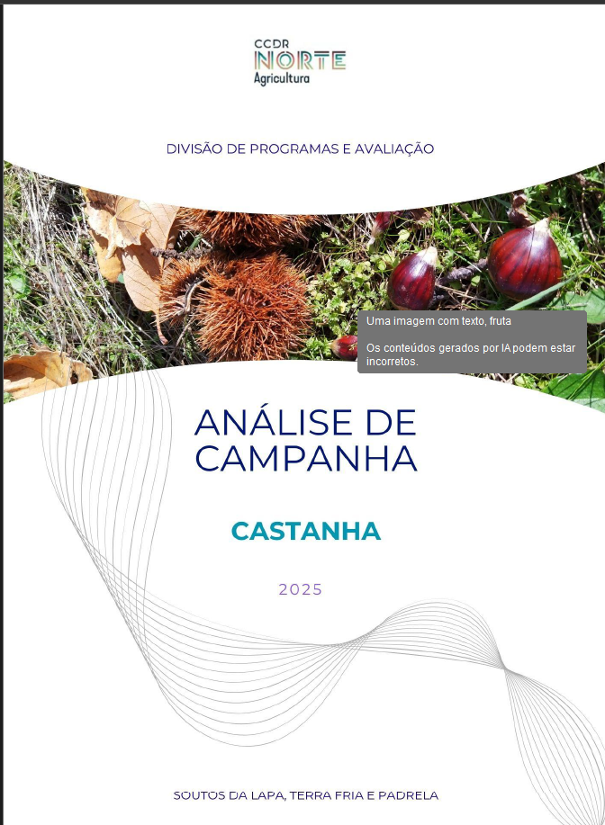 Análise de Campanha da Castanha 2025
