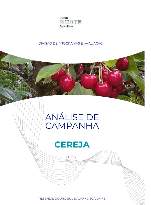 CEREJA - ANÁLISE DA CAMPANHA  2025