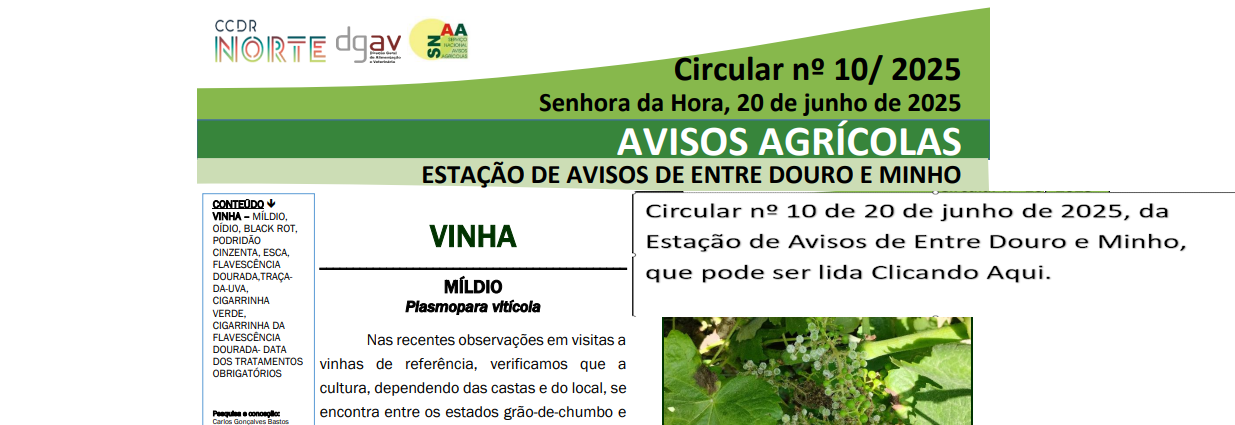 Click para ver as Circulares ...