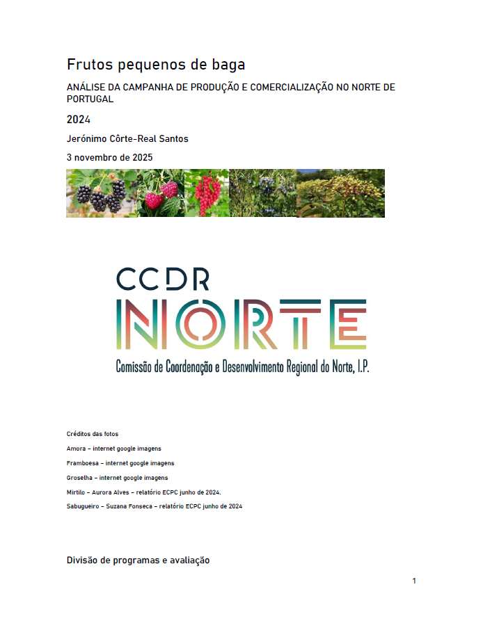 ANÁLISE DA CAMPANHA DE PRODUÇÃO E COMERCIALIZAÇÃO NO NORTE DE PORTUGAL 2024